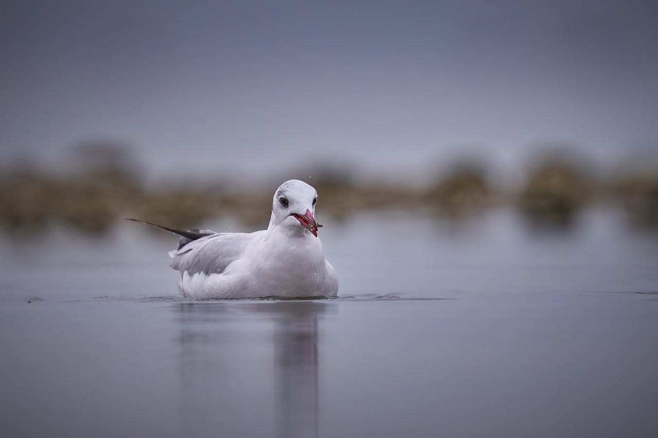 Top 10 Solar Products for Nigerian Homes in 2025